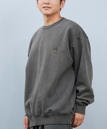【限定】QUIKSILVER/長袖 トレーナー スウェット バックプリント QPO254602M クイックシルバー メンズ ムラサキスポーツ限定