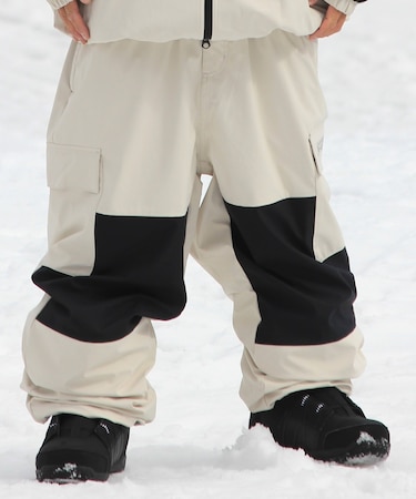 DC SHOES/25 DC SNOW CARGO PT DPT253932 スキー スノーボードパンツ ボトムス ウェア ウィンタースポーツ ディーシー ユニセックス メンズ ムラサキスポーツ