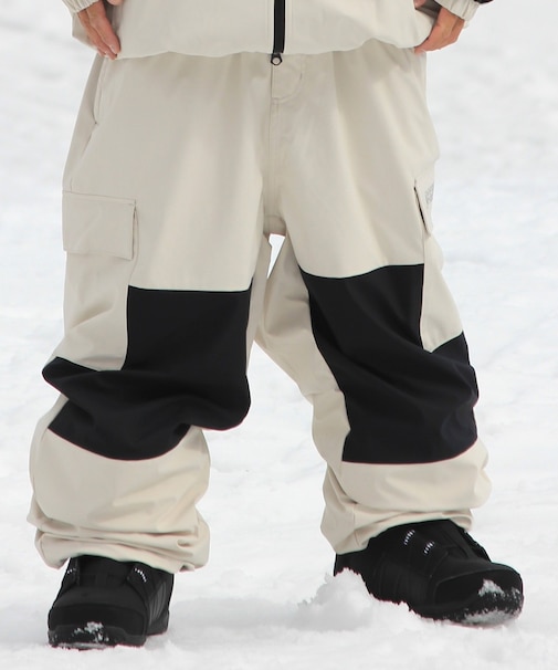 DC SHOES/25 DC SNOW CARGO PT DPT253932 スキー スノーボードパンツ ボトムス ウェア ウィンタースポーツ ディーシー ユニセックス メンズ ムラサキスポーツ