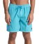 QUIKSILVER/EQYJV04156 水着 EVERYDAY SURFWASH VOLLEY 17NB ジャムボードショーツ 17インチ インナーショーツなしタイプ ノンストレッチ・撥水加工 トランクス クイックシルバー メンズ ムラサキスポーツ