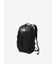 THE NORTH FACE (ﾉｰｽﾌｪｲｽ) ｰ MAYFLY PACK 22 (ﾒｲﾌﾗｲﾊﾟｯｸ 22L)