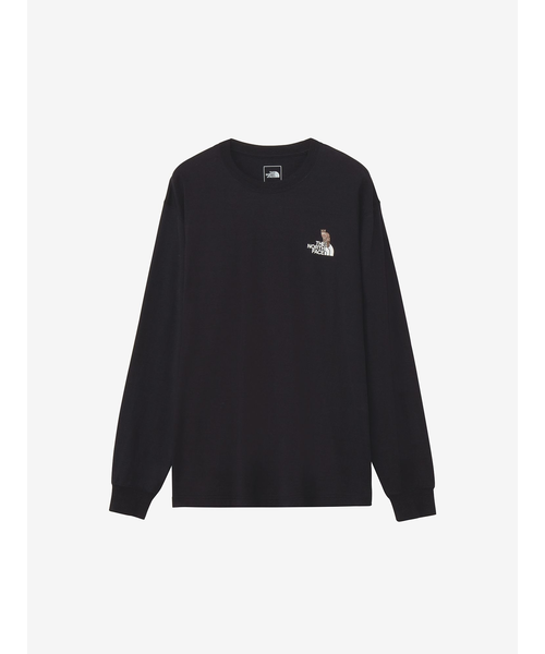 THE NORTH FACE ノースフェイス L/S Trans Antarctica Teeロング