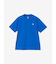 THE NORTH FACE (ﾉｰｽﾌｪｲｽ) - S/S FD NUPTSE COTTON TEE (ｼｮｰﾄｽﾘｰﾌﾞﾌﾗｯｼｭﾄﾞﾗｲﾇﾌﾟｼｺｯﾄﾝﾃｨ) NT32536 ﾒﾝｽﾞ