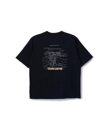 PENDLETON (ﾍﾟﾝﾄﾞﾙﾄﾝ) ｰ NATIONAL PARK PRINT S/S TEE (ﾅｼｮﾅﾙﾊﾟｰｸﾌﾟﾘﾝﾄｼｮｰﾄｽﾘｰﾌﾞﾃｨｰｼｬﾂ) 5275-0021 ﾕﾆｾｯｸｽ