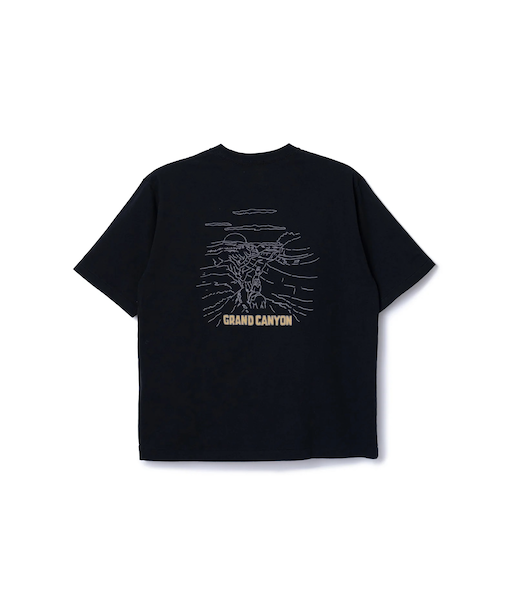 PENDLETON (ﾍﾟﾝﾄﾞﾙﾄﾝ) ｰ NATIONAL PARK PRINT S/S TEE (ﾅｼｮﾅﾙﾊﾟｰｸﾌﾟﾘﾝﾄｼｮｰﾄｽﾘｰﾌﾞﾃｨｰｼｬﾂ) 5275-0021 ﾕﾆｾｯｸｽ