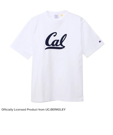 CHAMPION (ﾁｬﾝﾋﾟｵﾝ) - ﾃｨｰﾃﾝｲﾚﾌﾞﾝ ｼｮｰﾄｽﾘｰﾌﾞTｼｬﾂ MADE IN USA C5-B308