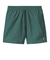 CARHARTT (ｶｰﾊｰﾄ) - CHASE SWIM TRUNKS (ﾁｪｲｽｽｲﾑﾄﾗﾝｸｽ) I035062