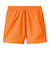 CARHARTT (ｶｰﾊｰﾄ) - CHASE SWIM TRUNKS (ﾁｪｲｽｽｲﾑﾄﾗﾝｸｽ) I035062