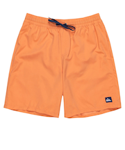 QUIKSILVER (ｸｲｯｸｼﾙﾊﾞｰ) - EVERYDAY SOLID VOLLEY 19 (ｴﾌﾞﾘﾃﾞｲｿﾘｯﾄﾞﾎﾞﾚｰ19) EQYJV04137 ﾒﾝｽﾞ