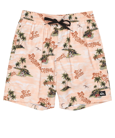 QUIKSILVER (ｸｲｯｸｼﾙﾊﾞｰ) - EVERYDAY STRAIGHT VL 19 (ｴﾌﾞﾘﾃﾞｲｽﾄﾚｯﾁﾎﾞﾚｰ19) QBS251001ﾒﾝｽﾞ