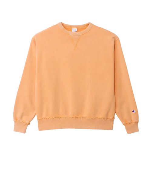 CHAMPION (チャンピオン) - CREW NECK SWEATSHIRT (クルーネックスウェットシャツ) CW-C014 レディース