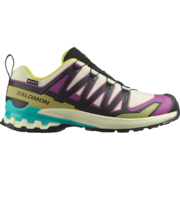 SALOMON (ｻﾛﾓﾝ) - XA PRO 3D V9 GORE-TEX (ｴｯｸｽｴｰ ﾌﾟﾛ V9 ｺﾞｱﾃｯｸｽ)