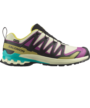 SALOMON (サロモン) - XA PRO 3D V9 GORE-TEX (エックスエー プロ V9 ゴアテックス)