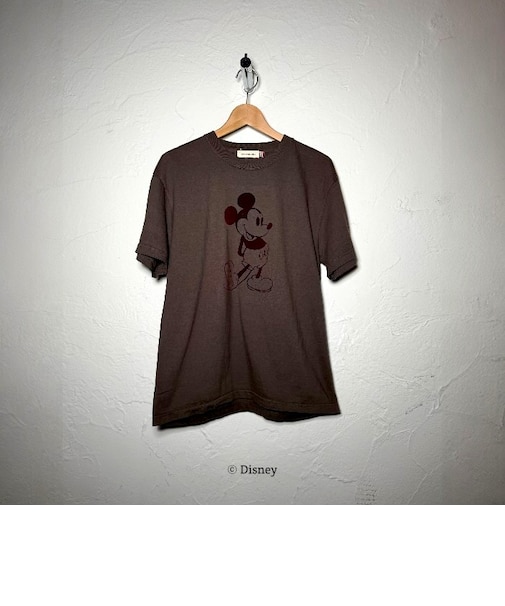 GOOD ROCK SPEED (ｸﾞｯﾄﾞﾛｯｸｽﾋﾟｰﾄﾞ) - DISNEY (ﾃﾞｨｽﾞﾆｰ) 26FDS008W