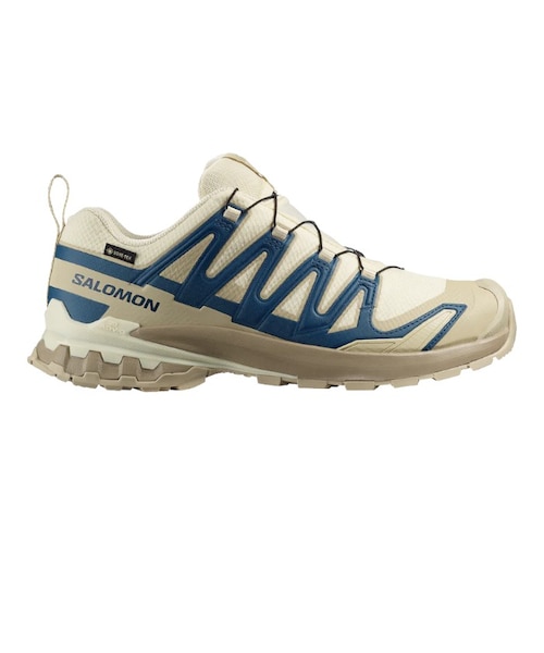 SALOMON (ｻﾛﾓﾝ) - XA PRO 3D V9 GORE-TEX (ｴｯｸｽｴｰﾌﾟﾛ 3D V9 ｺﾞｱﾃｯｸｽ