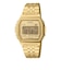 CASIO (ｶｼｵ) - A1000G-9JF