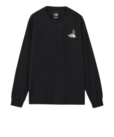 THE NORTH FACE (ノースフェイス) - L/S FLASHDRY ZOO PICKER TEE (ロングスリーブフラッシュドライズーピッカーティー) NT82645