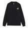 THE NORTH FACE (ノースフェイス) - L/S FLASHDRY ZOO PICKER TEE (ロングスリーブフラッシュドライズーピッカーティー) NT82645