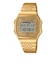 CASIO (カシオ) - ABL-100WEG-9AJF