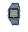 CASIO (カシオ) - LF-30W-2AJF