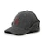 NEW ERA (ニューエラ) - 39THIRTY Flip Down POLARTEC LAD (3930 フリップダウン ポーラテック ロサンゼルス・ドジャース)