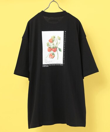 USDA ART TEE/フルーツプリントTシャツ