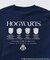 限定展開 HARRY POTTER/ハリー・ポッター 別注 ビッグシルエット バックプリント クルーネックスウェット