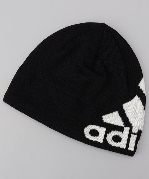 ビッグロゴ ビーニー