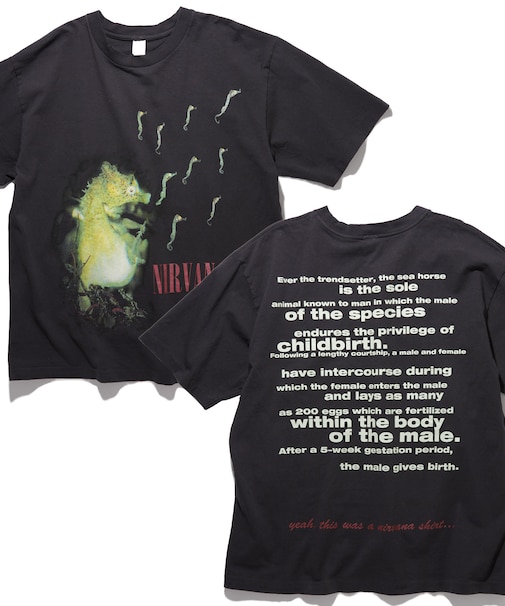 NIRVANA ALL APOLOGIES クルーネックバンドTシャツ