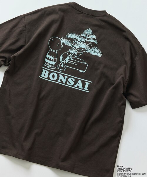 &mall（アンドモール）三井ショッピングパーク公式通販