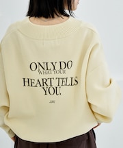 別注 Vネックプルオーバー/ スウェットライクニット