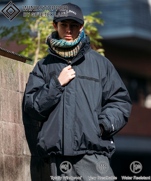 別注 GORE-TEX WINDSTOPPER  DOWN JACET LEVEL7