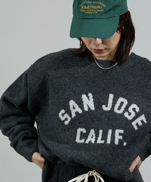 ジャカード ビッグ 配色 ロゴニット