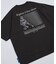 Brighton & Hove Albion FC - SEAGULLS PLAYER LINE TEE