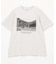 monotone photo TEE