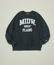 Champion × FREAK'S STORE 別注 REVERSE WEAVE VINTAGE WASH PRINT SWEAT