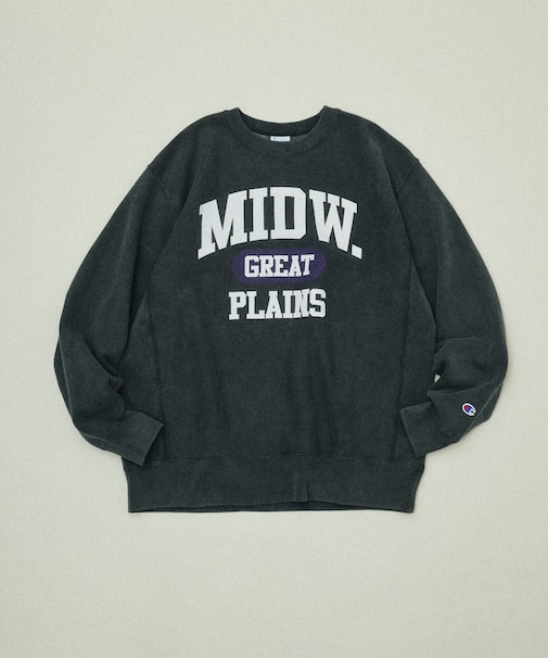 Champion × FREAK'S STORE 別注 REVERSE WEAVE VINTAGE WASH PRINT SWEAT