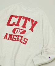 Champion × FREAK'S STORE 別注 REVERSE WEAVE VINTAGE WASH PRINT SWEAT