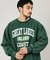 Champion × FREAK'S STORE 別注 REVERSE WEAVE VINTAGE WASH PRINT SWEAT