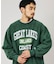 Champion × FREAK'S STORE 別注 REVERSE WEAVE VINTAGE WASH PRINT SWEAT