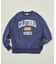 Champion × FREAK'S STORE 別注 REVERSE WEAVE VINTAGE WASH PRINT SWEAT
