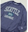 Champion × FREAK'S STORE 別注 REVERSE WEAVE VINTAGE WASH PRINT SWEAT