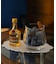 COCKTAIL DIFFUSER カクテル ディフューザー