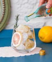 COCKTAIL DIFFUSER カクテル ディフューザー