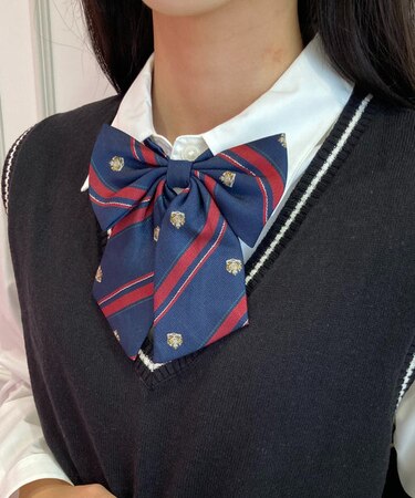エンブレム柄スクールリボン