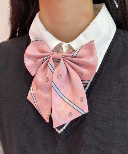 エンブレム柄スクールリボン