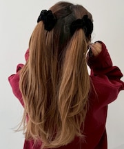 L2Pベロアシュシュ