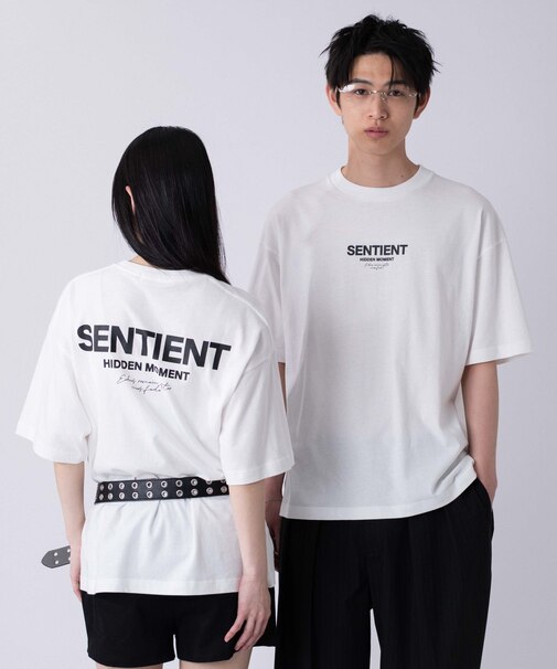 アソートグラフィックBIG　T（SS）