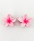 L2Pミニマットフラワーバンスクリップ