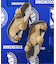 BIRKENSTOCK / ビルケンシュトック 別注 Byblos サンダル